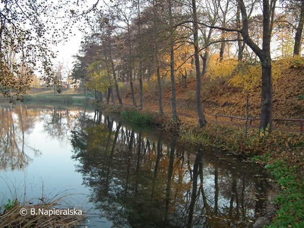 Miedzychód